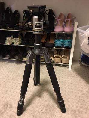 Dolica Tripod