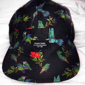 Shaw Park hummingbird SnapBack