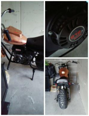 301 377 6251