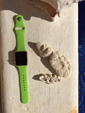 Green Apple Watch Band