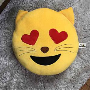 Emoji cat pillow
