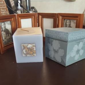 Hisbiscus candle icon and picture frame