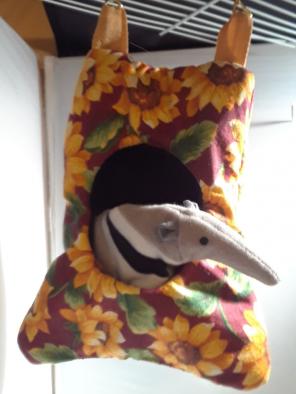 New Cozy Pod for Hamster Gerbil Etc