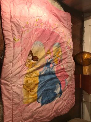 Princess Comforter Twin Bed