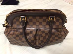 Louise Vuitton Authentic Bag