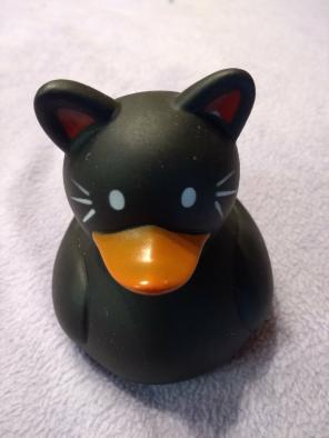 Black Cat Rubber Ducky