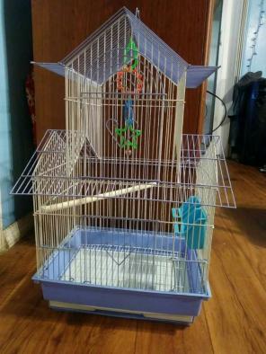 Nice Parakeet Bird Cage!!