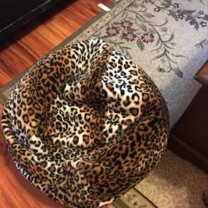 Comfy Beanbag Chair