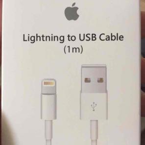 Apple charger