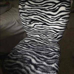 Zebra spin chair