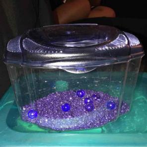 Fish tank