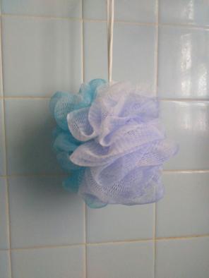Bath scruber