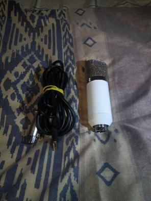 Recording mic with cord