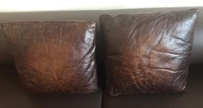 Leather Accent Pillow