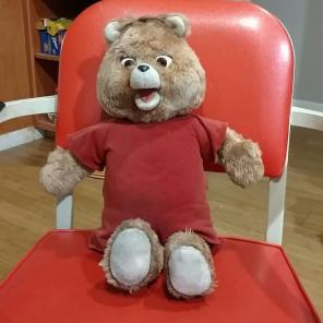 Teddy rupskin