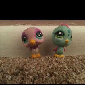 Littlest Pet Shop