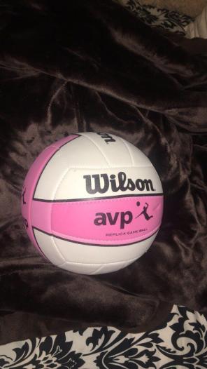 Wilson volleyball