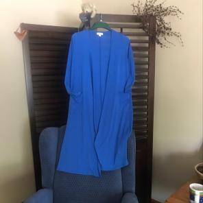 Xs LulaRoe Sarah In Blue