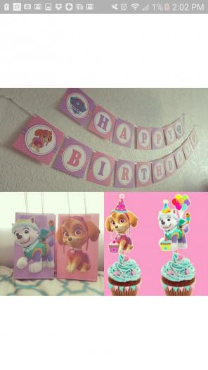 Skye birthday party decor