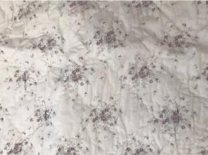 Simply Shabby Chic Pillow Shams