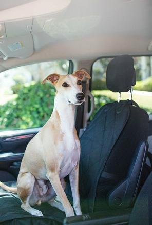 Dog Seat Cover