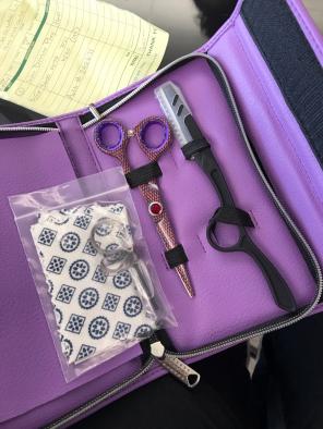 Icon Shears