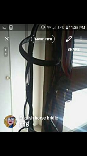Horse bridle