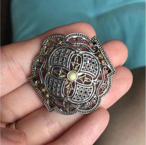 Beautiful Brooch Pin