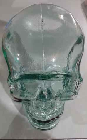 Glass Skull Head Full Size