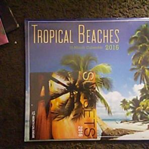 Tropical beaches 12 month 2016 calendar