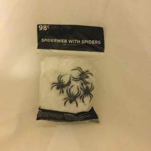 Spiderweb and Spider NIP