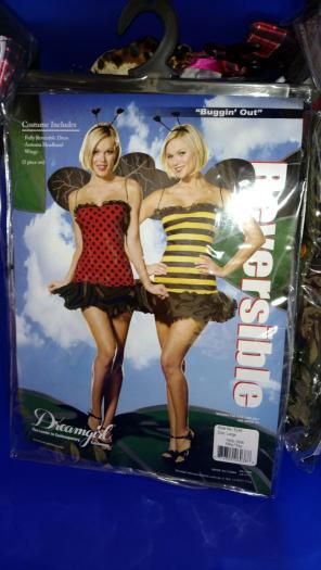 Reversible lady bug/bumble bee costume