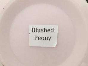 Blushed Peony