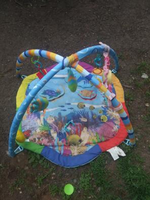 Baby Einstein floor mat