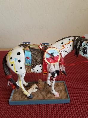 American Indian Spectacular Horse!