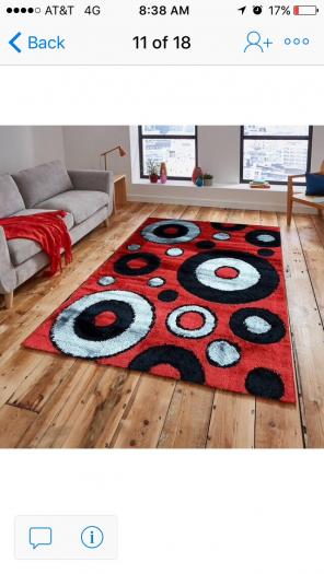 Brand New Shag Rug 5'x7'