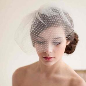 Birdcage veil