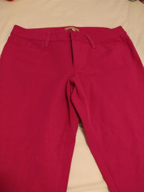 Banana Republic Sloan Dress Pants