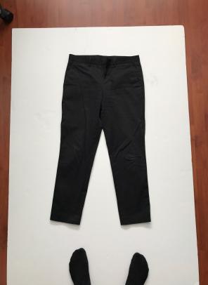Express Photographer Dress Pant