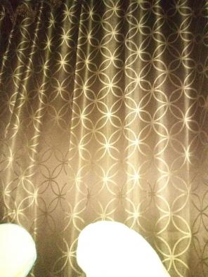 Window curtains