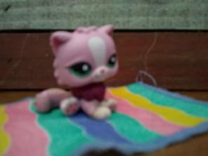 Lps cat and blanket
