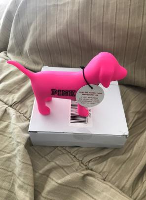 Pink Speaker