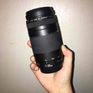 Canon 75-300 lens