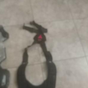 Evs Roost Guard