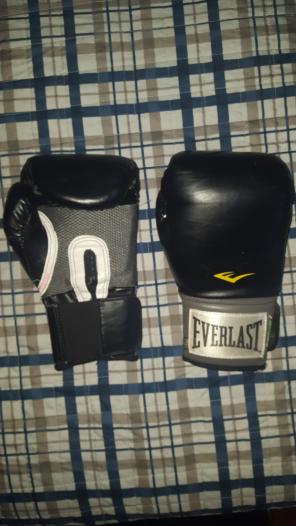 Everlast Punching gloves.