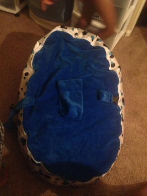 Baby Bean Bag