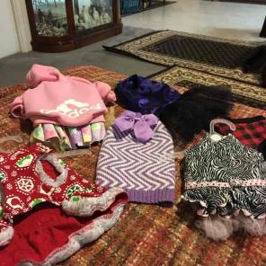 Dog clothes