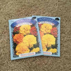 Marigold flower seeds 2 for $3