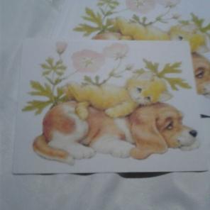 WWB-142/Note Cards/Puppy Under Kitten