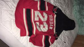 Authentic Jordan Hoodie